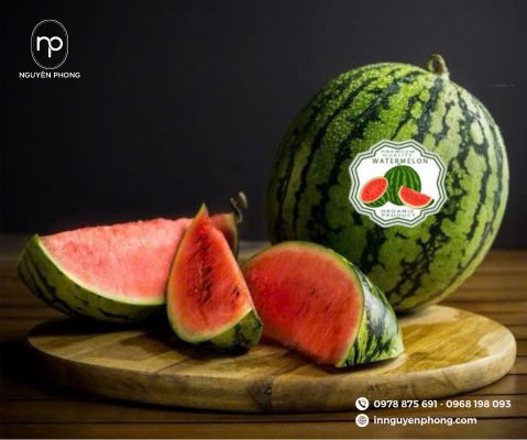 in sticker dưa hấu đẹp mắt